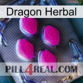 Dragon Herbal 02